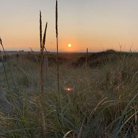 Apartment Sylt In The House Eight De Dunes *